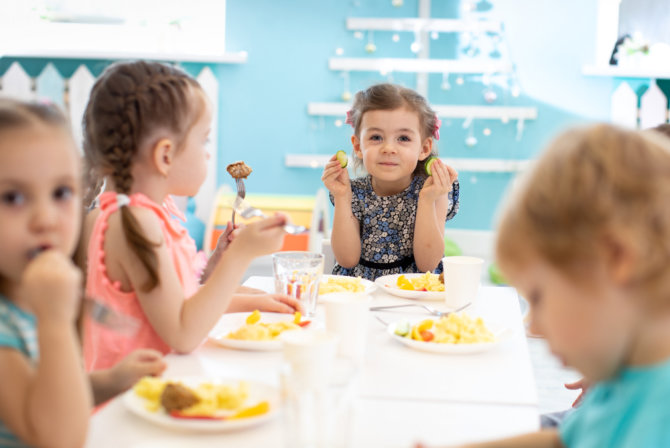 the-role-of-nutrition-in-cognitive-development